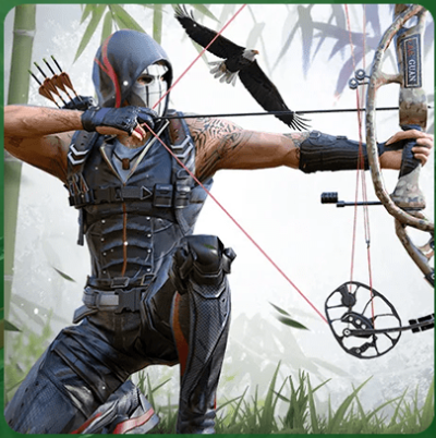 Ninja's Creed